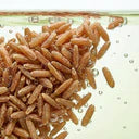 Digestion des fibres végétales