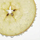 Assimilation des nutriments